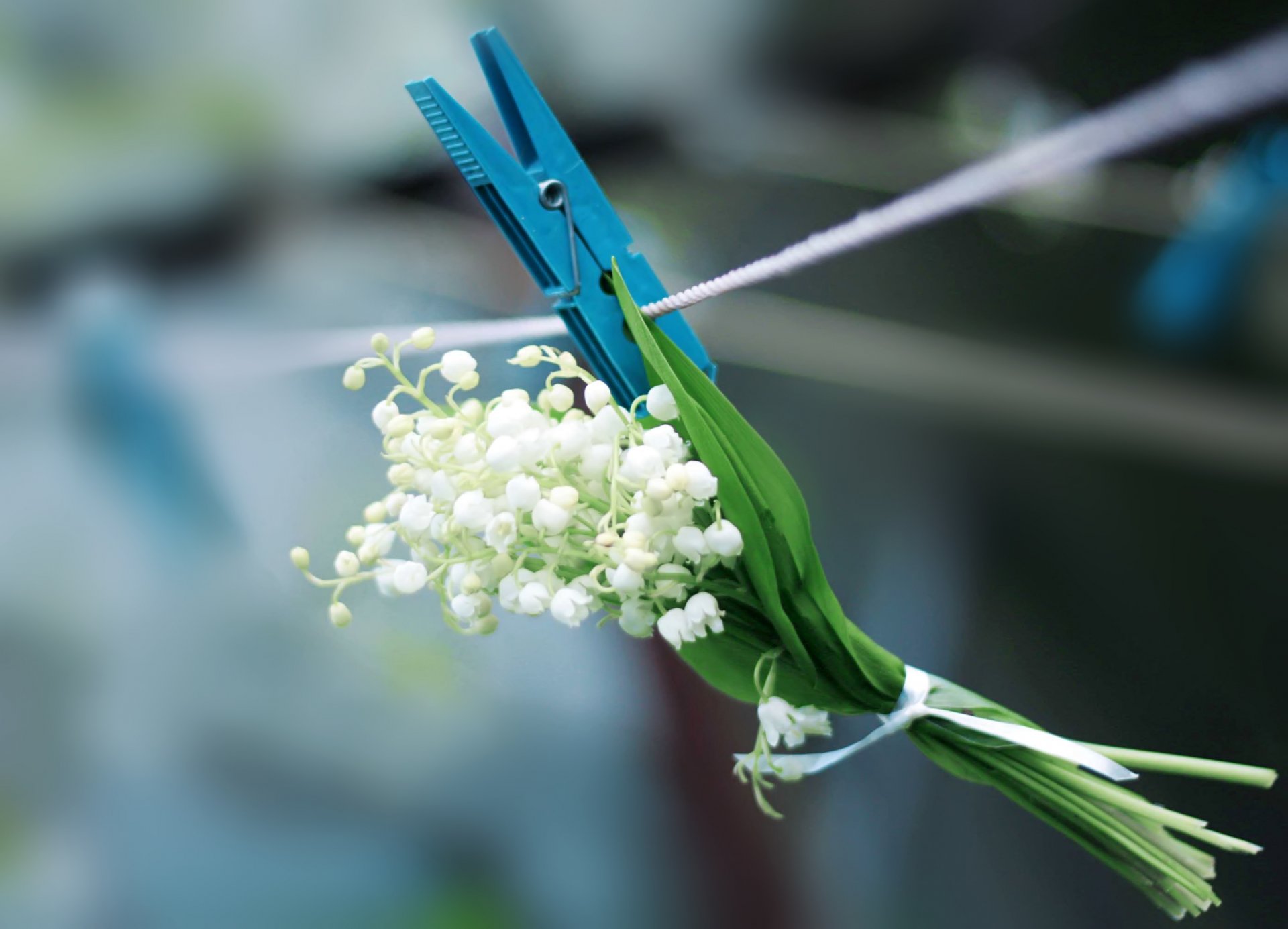 maiglöckchen wäscheklammer seil frühling weiß blume blau