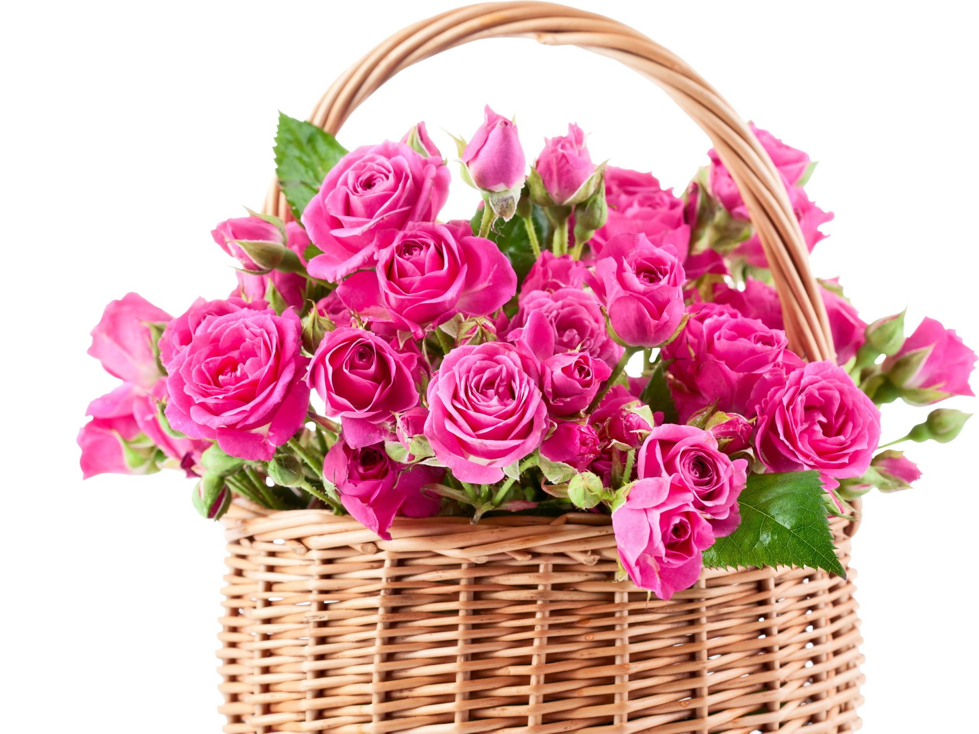 rose rosa fiori bello bouquet cestino cestino