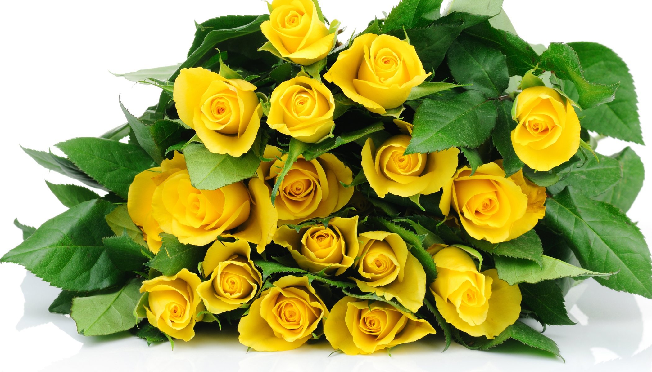 roses yellow bouquet buds leaves white background