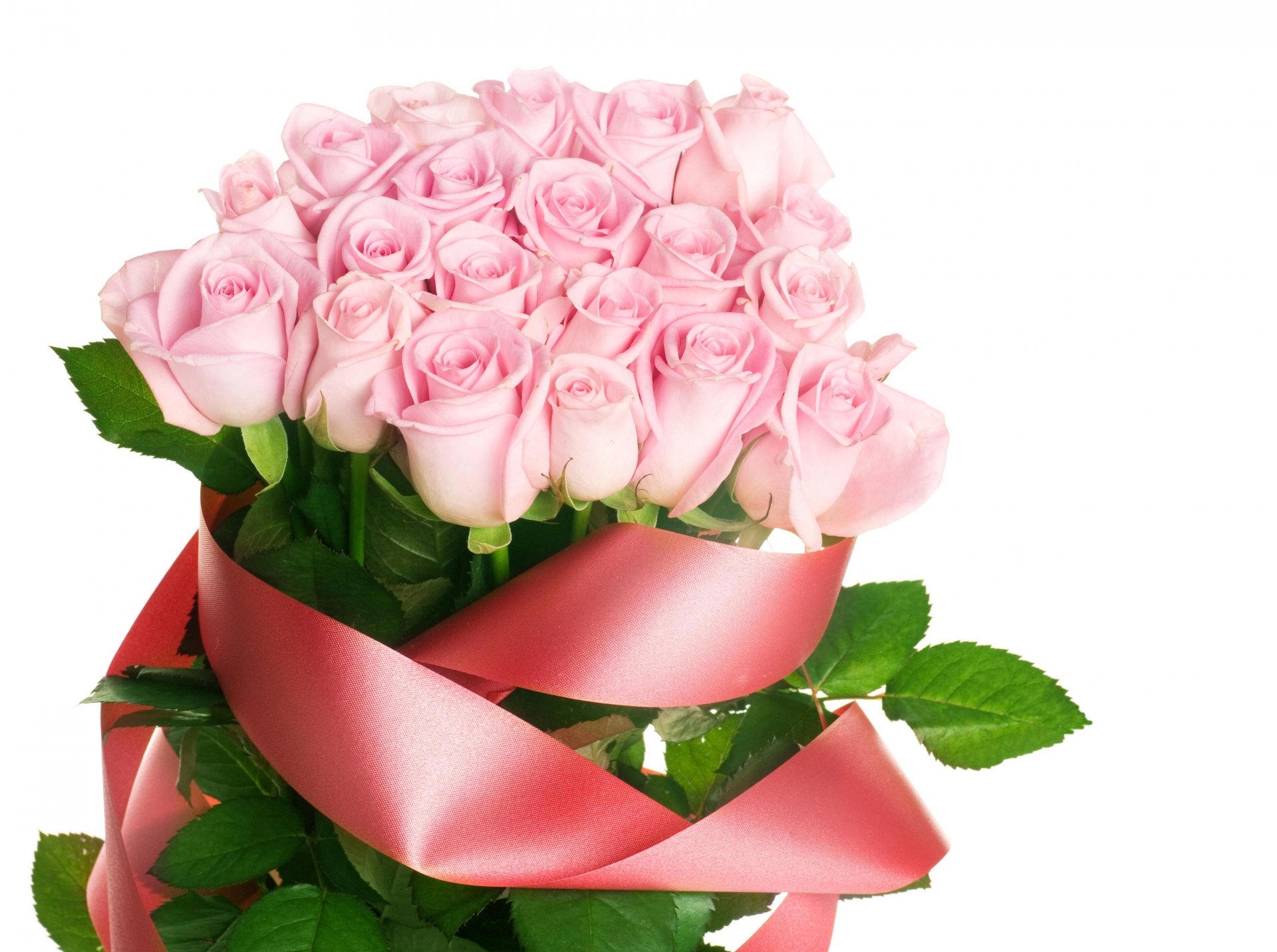 pink roses bouquet red belt flower