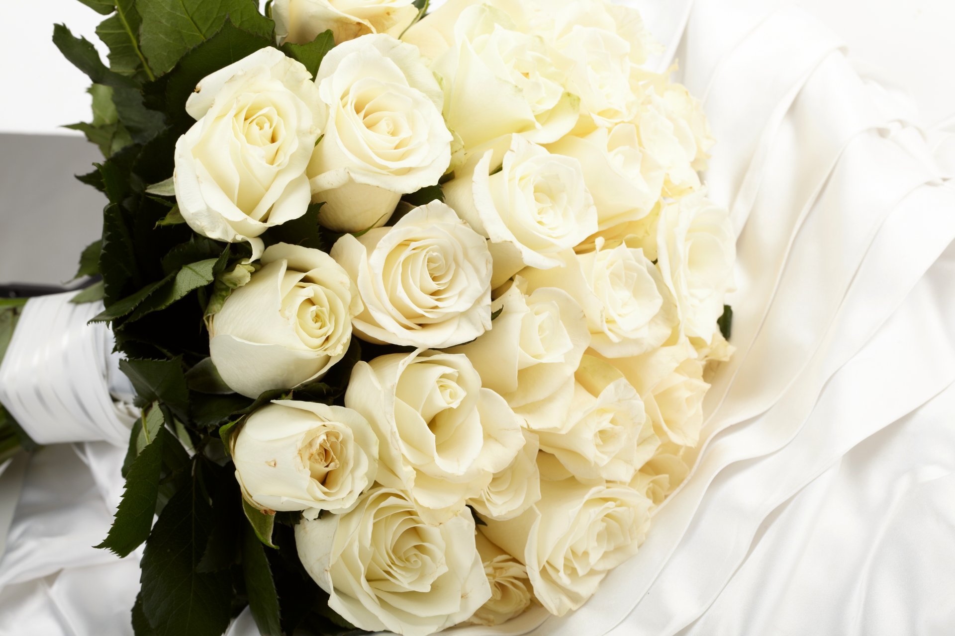 roses blanc fleurs bouquet tissu