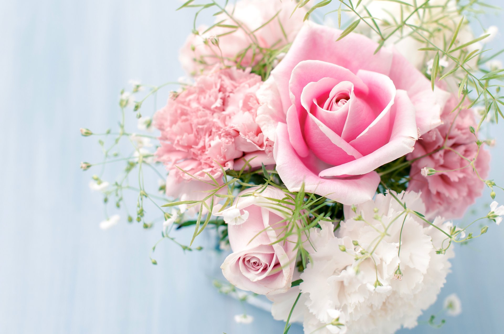 roses rose bouquet oeillets blanc fleurs