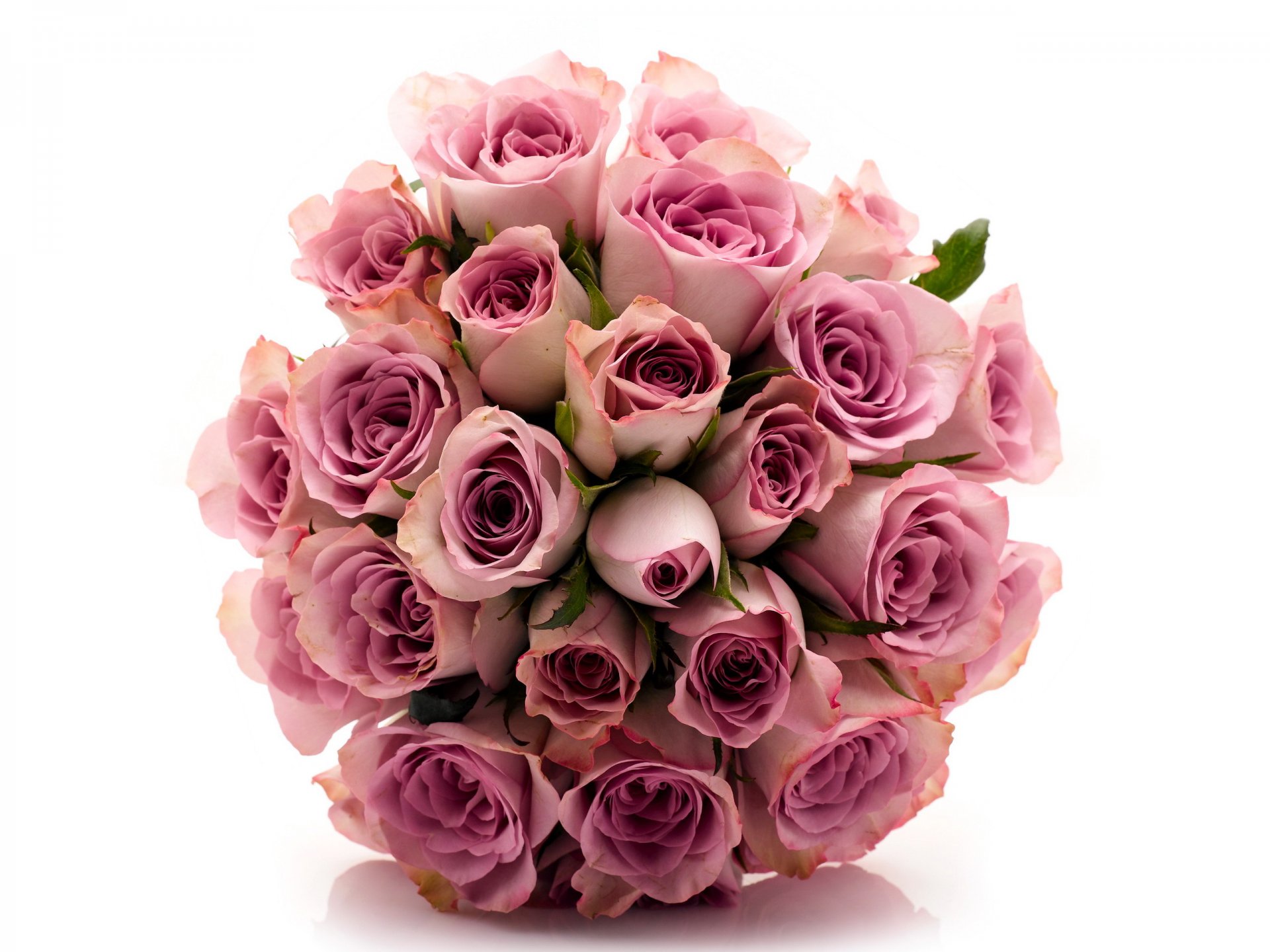 roses fleurs fleur bouquet beau