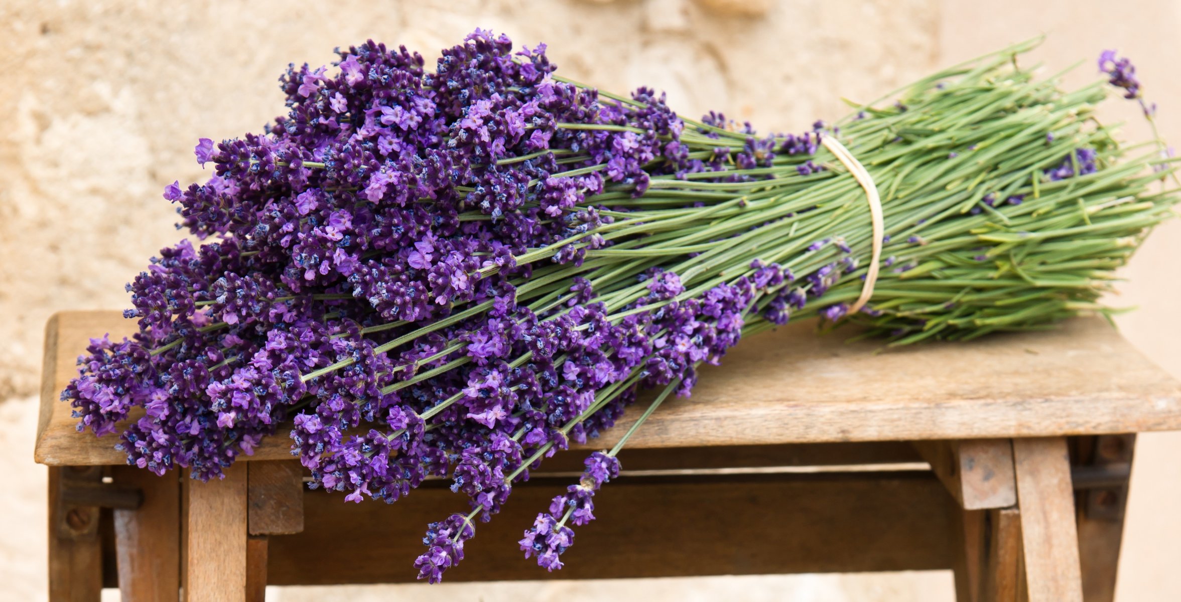 lavanda flores ramo banco