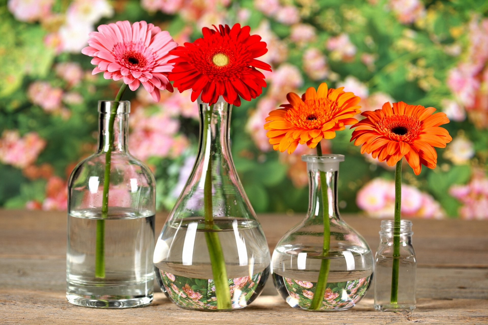 vasen flasche blumen chrysantheme tisch bokeh reflexionen