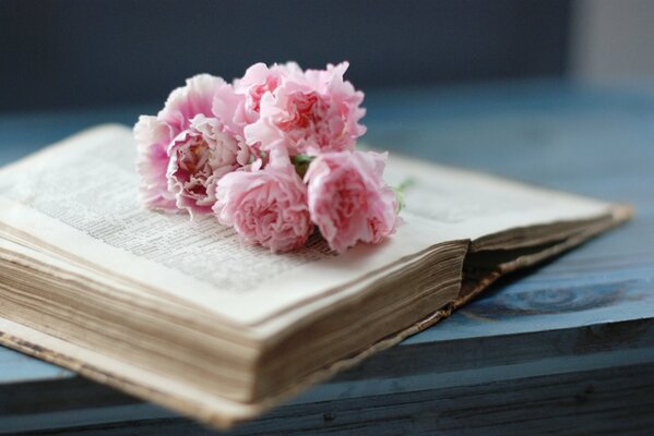 An old book with pink carnations