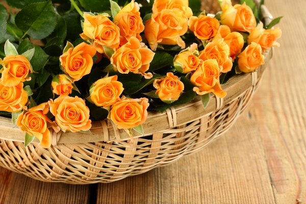 Orange roses in the basket