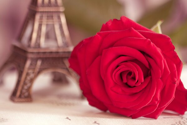 La rosa escarlata yace cerca de la estatuilla de la torre Eiffel