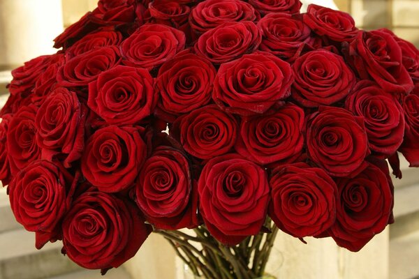 A huge bouquet of red roses