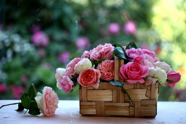 Basket or basket of roses inside