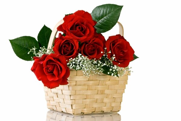 Rosas rojas en una cesta de mimbre