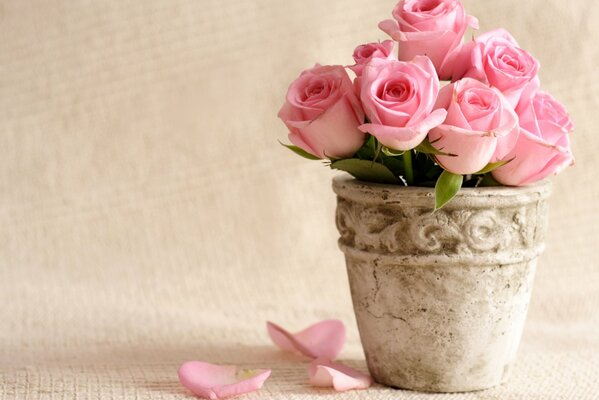 Pétales de fleurs roses délicates douchés d un bouquet dans un pot