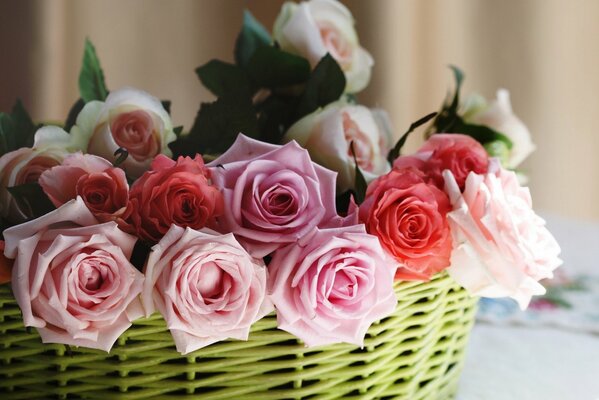 Delicate roses in a wicker basket