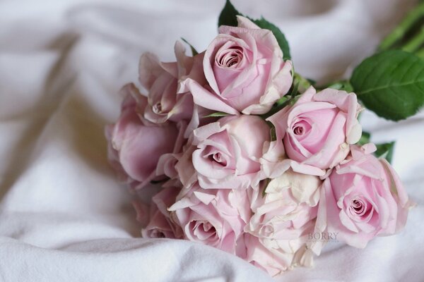 Ein zartes Bouquet von rosa Rosen auf einem Bettlaken