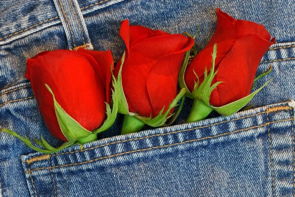 Bouquet de roses en jeans