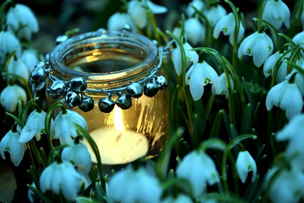 A burning candle in a jar among spring snowdrops