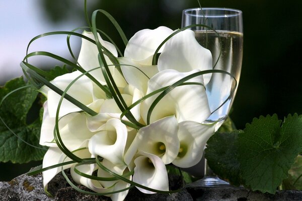 White calla leaves and a glass with a drink