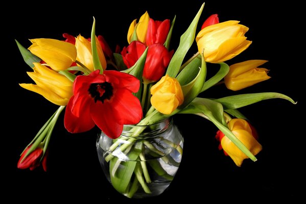 Bouquet von hellen Tulpen auf schwarzem Hintergrund