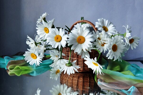 Field daisies in the basket