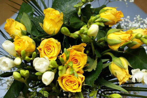 Bouquet de fleurs de roses jaunes