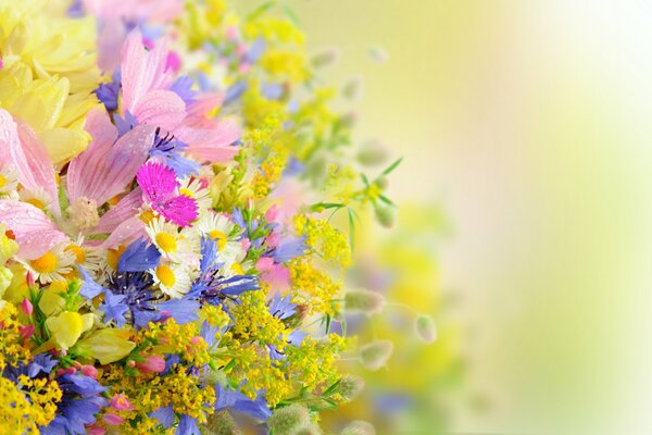 Summer bouquet of daisies with drops