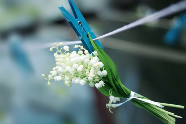 White lilies of the valley hanging on a rope