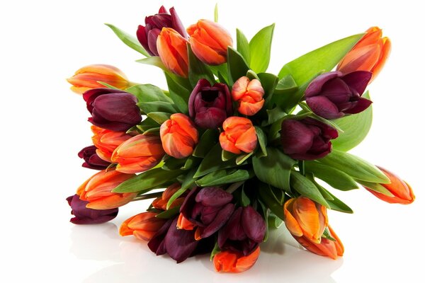 Bouquet de tulipes printanières multicolores