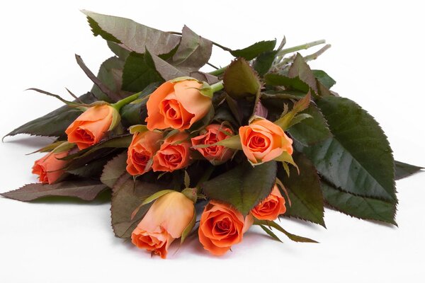 Букет оранжевых роз, картина