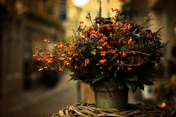 Autumn bouquet in an iron pot