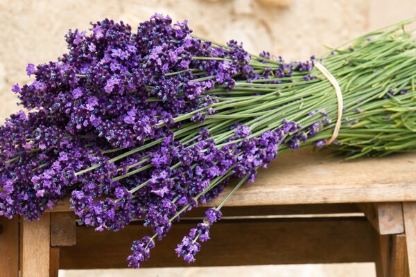 Der beste Blumenstrauß meines Lebens