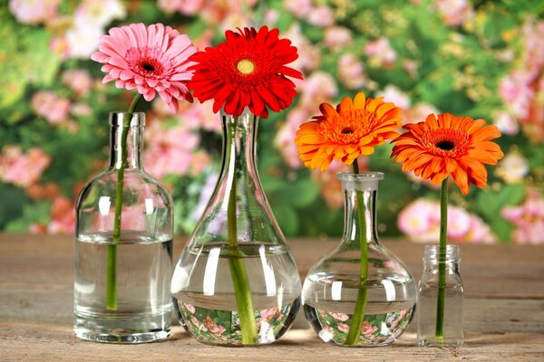 Vier verschiedene Vasen mit vier Blumen