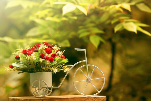 A bouquet of beautiful roses in a pot with a bicycle