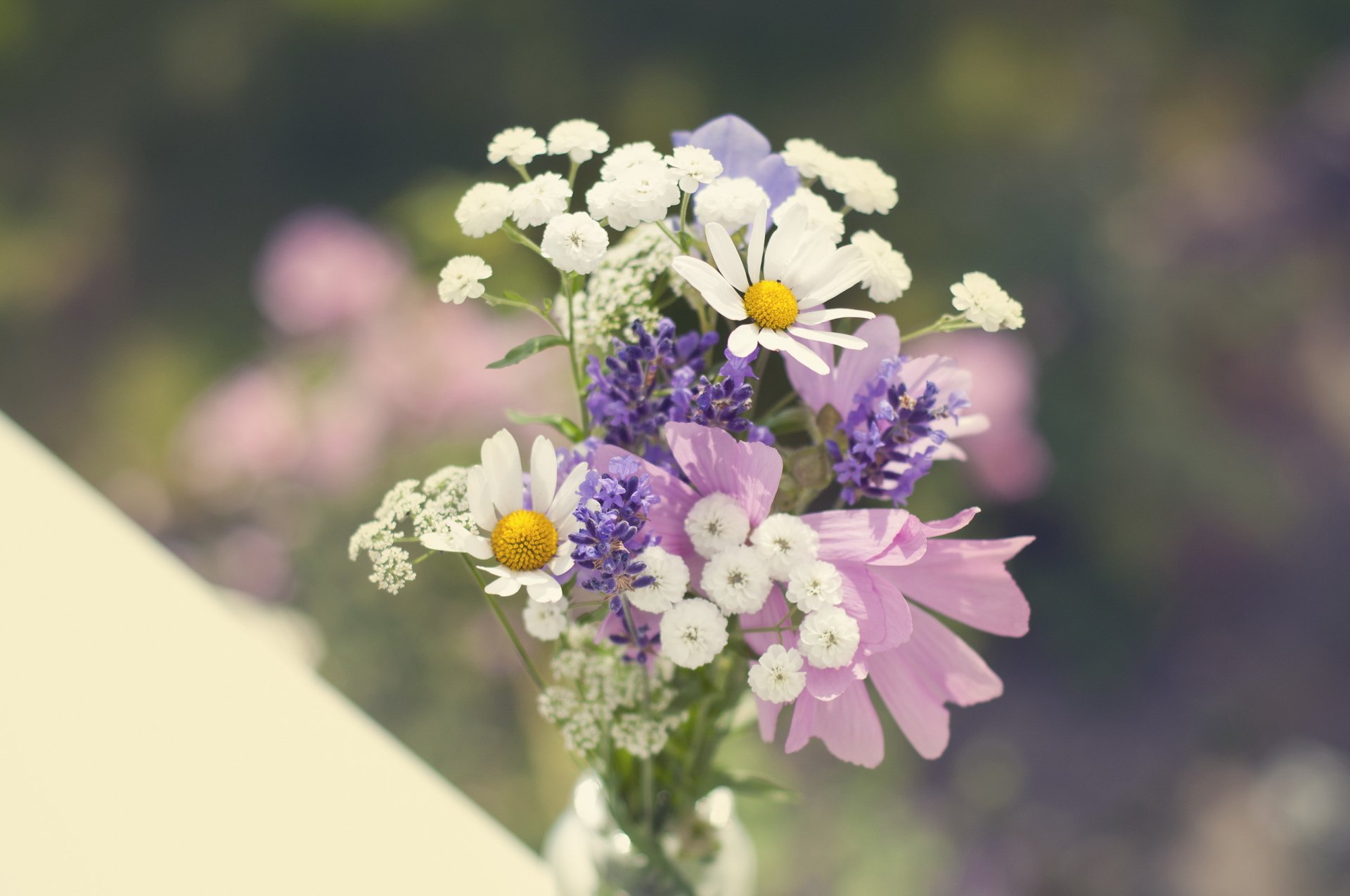 blumenstrauß wildblumen kamille