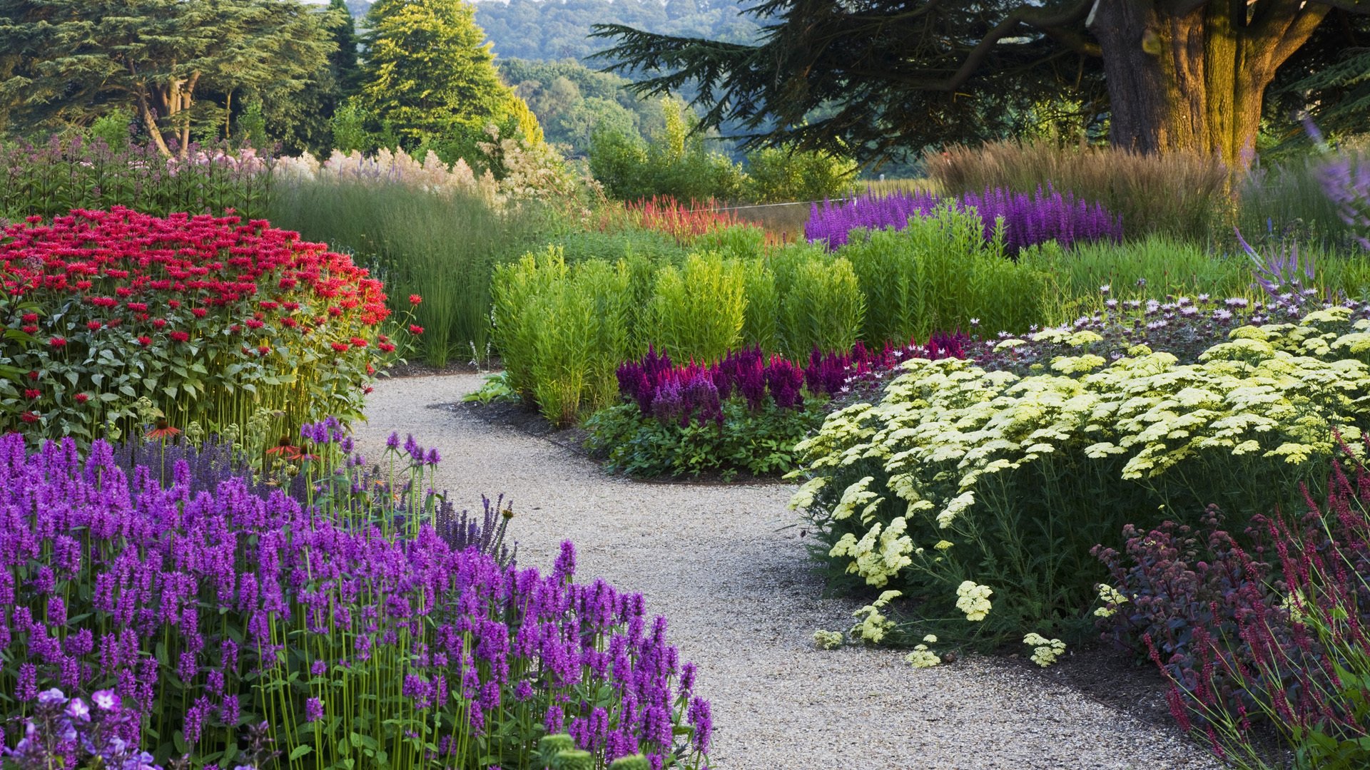 blumen park garten verschiedene bäume gehweg fußweg