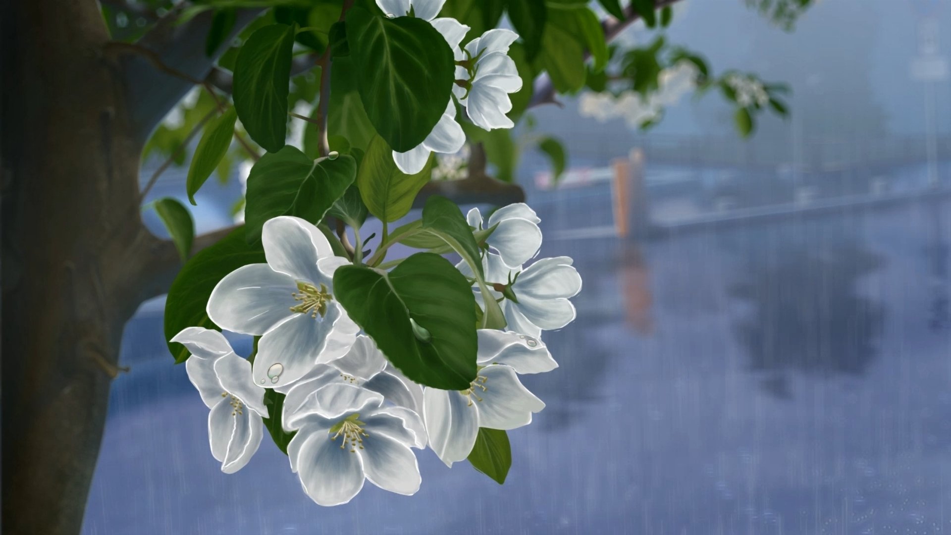 arte disegno fiori bianco albero melo pioggia gocce ramo foglie