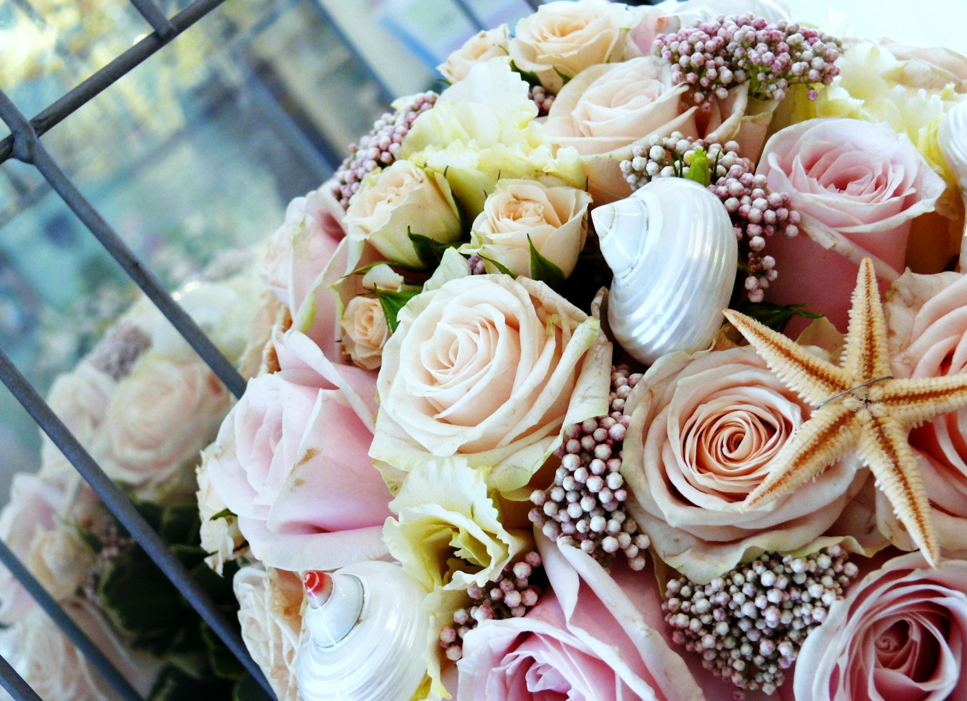 flower bouquet starfish shell