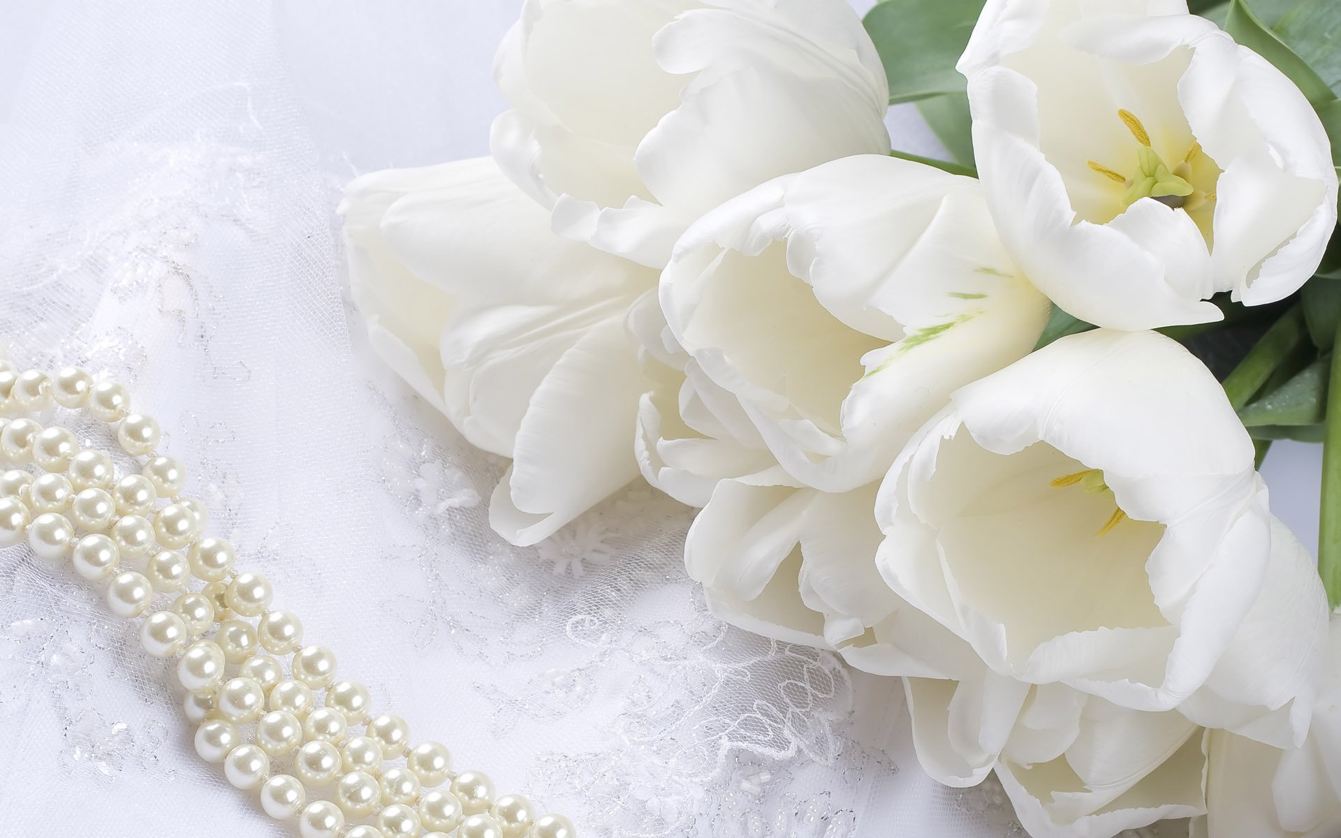 flower tulips white lace beads pearl bouquet