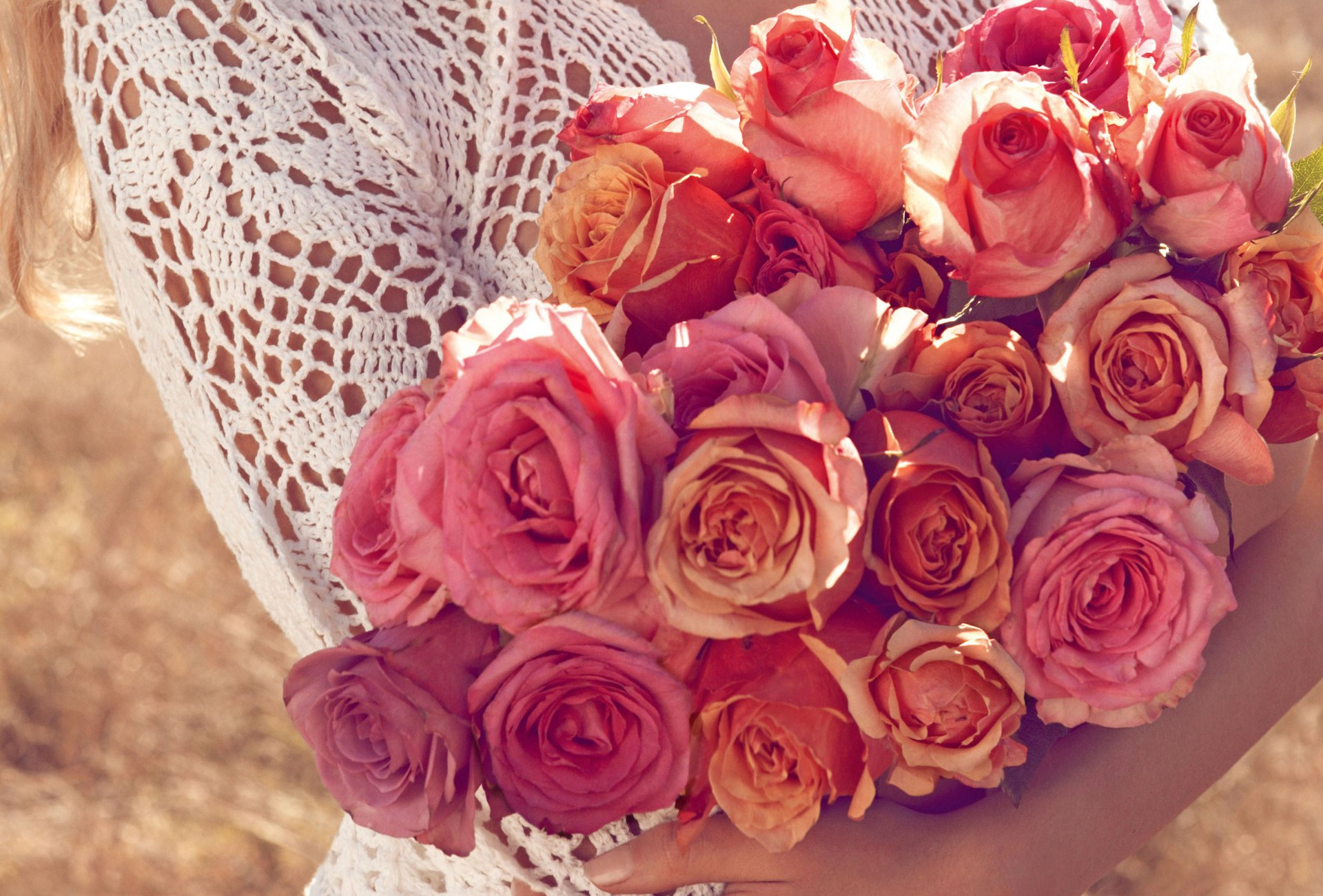 fleurs roses rouges bouquet