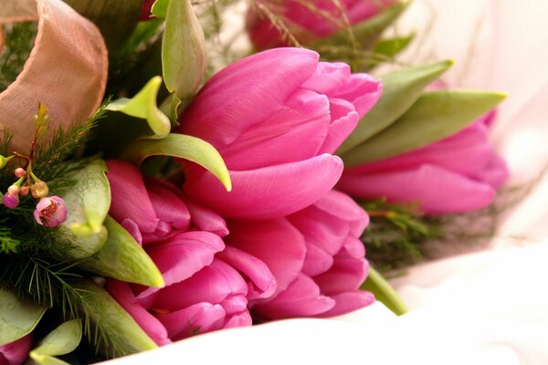 Beautiful bouquet of pink tulips