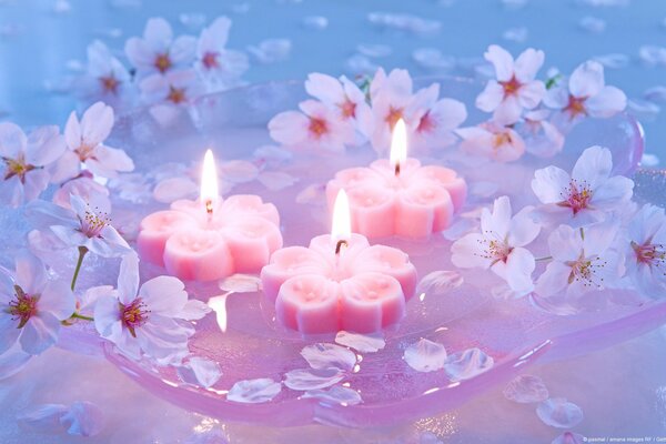 Jolies bougies roses en forme de fleurs