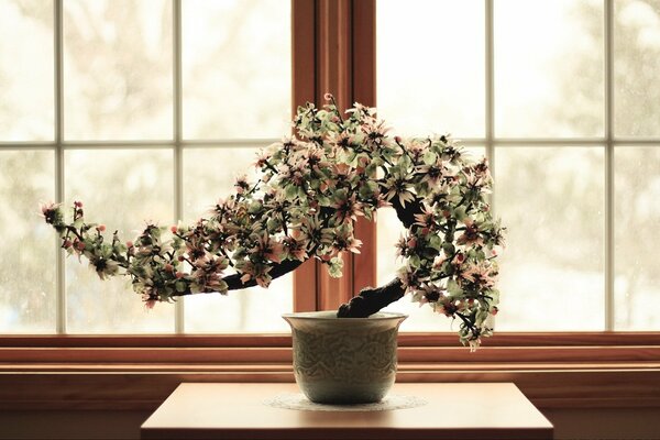 Albero nano come una forma d arte separata bouquet di