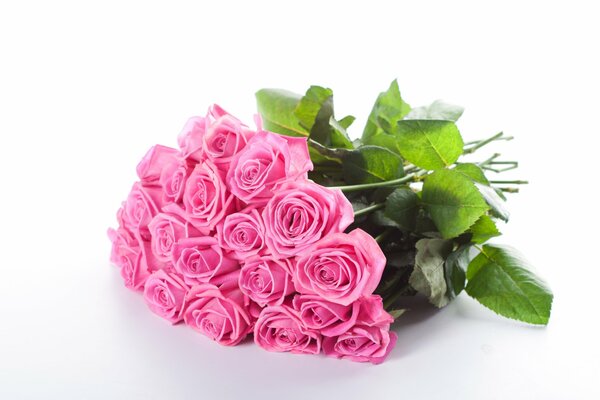 Beau bouquet de roses roses