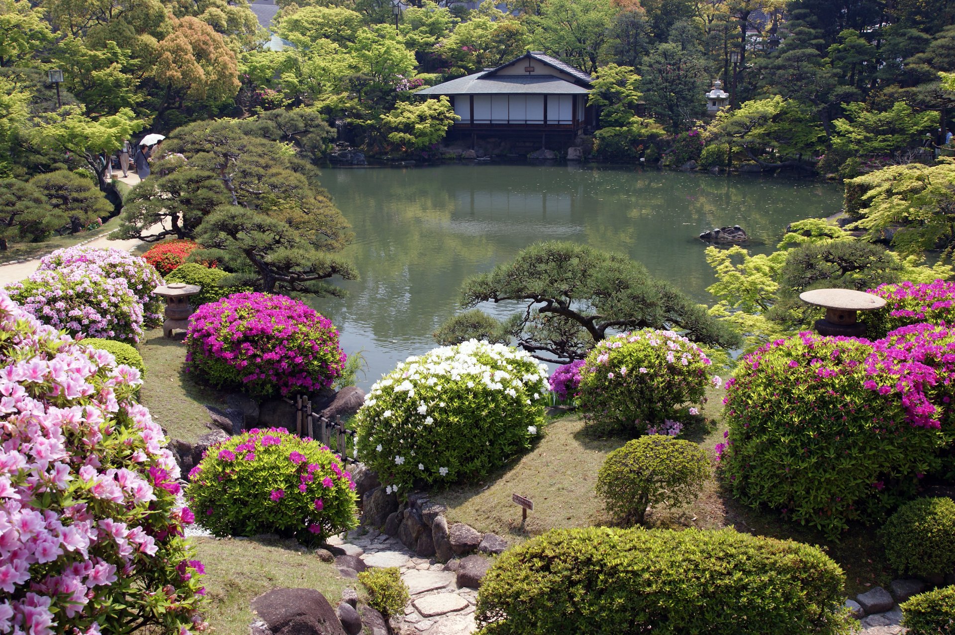 flower japanese garden house