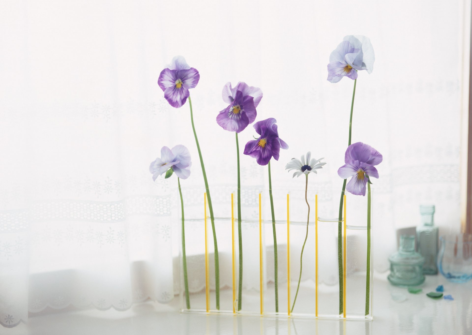 arrangement floral fleurs dans un vase fleurs