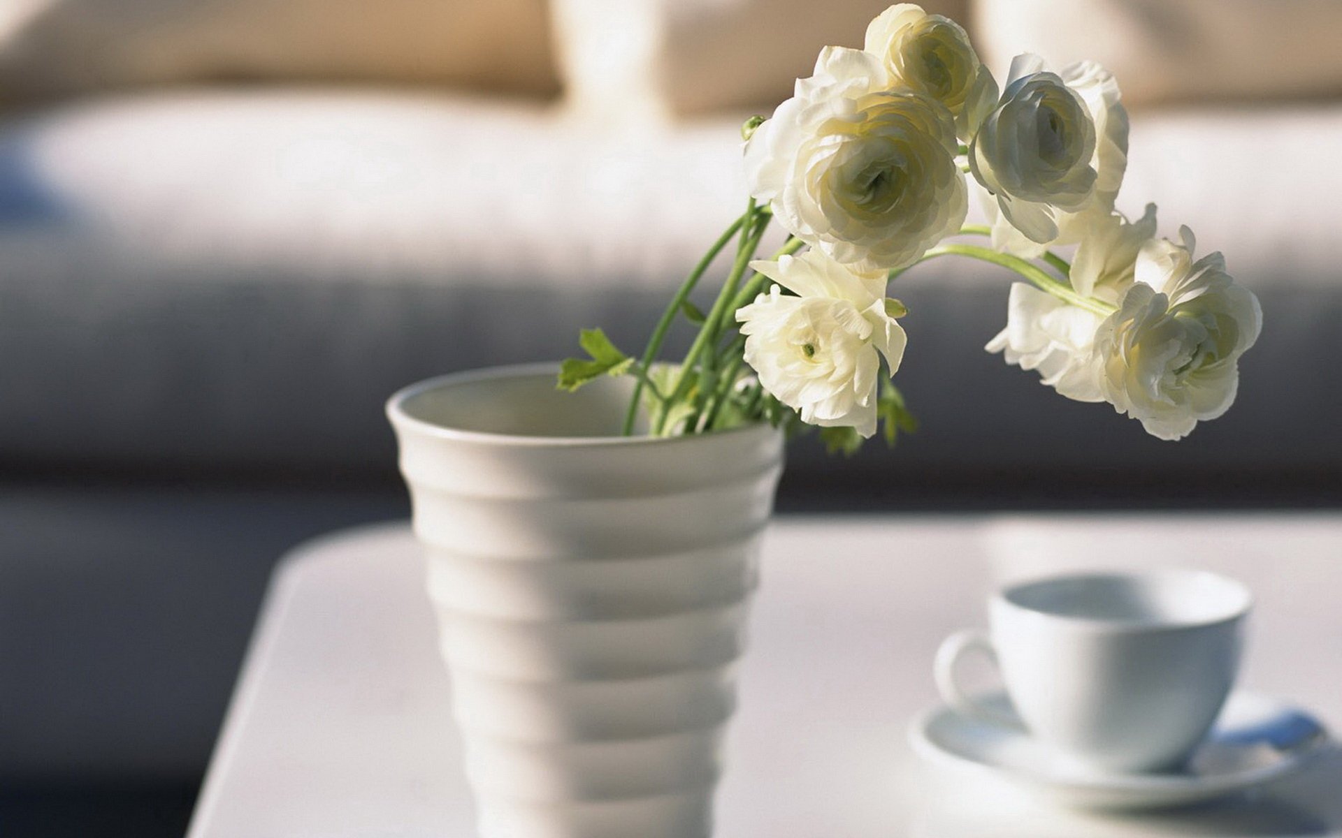 fleurs roses vase tasse matin humeur beauté fond d écran photo