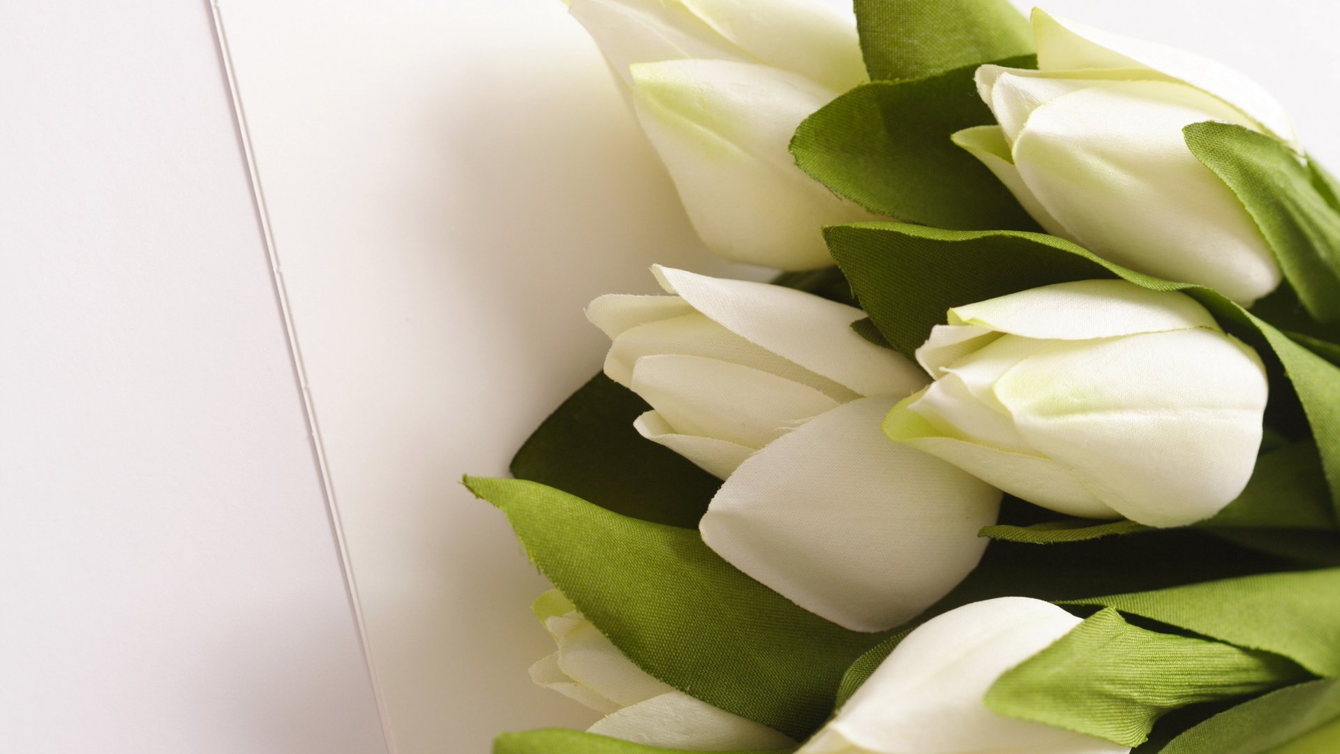 flower bouquet white tulips green leave