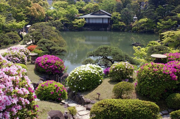 Ciche jezioro w ogrodzie japońskim
