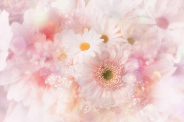 The tenderness of a pink bouquet with daisies