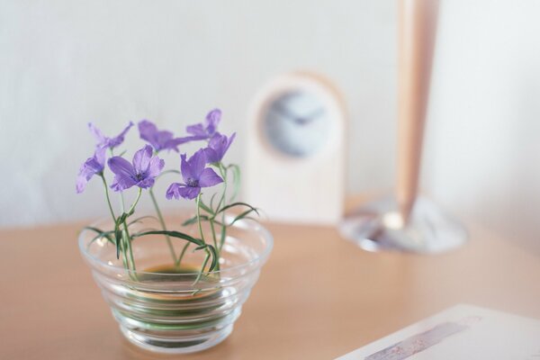 Petites fleurs violettes dans un vase