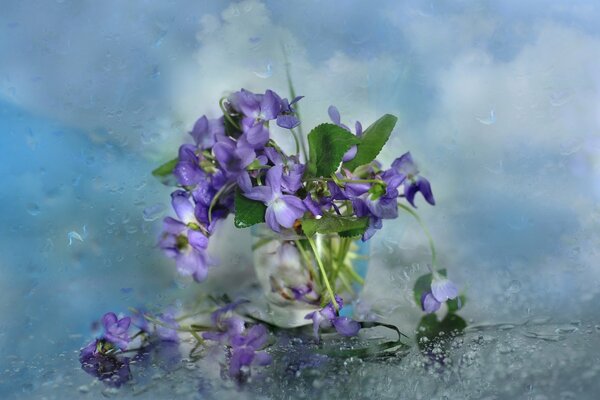 Zerwane kwiaty w szklance wody